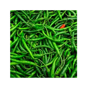 Fresh Green Chili 100% Natural Long Slim Pepper High Quality Farm Fresh for Bulk Wholesale Global Market Supply Ocean Link Exim - Product Image 1