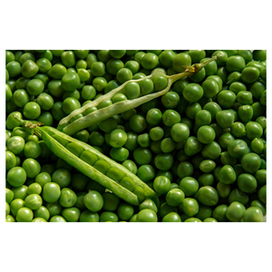 Fabrication certifiée de qualité, pois verts surgelés IQF - Product Image 2