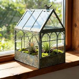 Terrario de Metal y Vidrio Personalizado en Forma de Cabaña, Macetero Moderno de Vidrio para Plantas de Interior, Suculentas, Plantas Aéreas y Terrarios DIY - Product Image 1