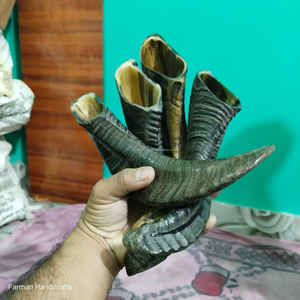 Cuerno de carnero natural tradicional para beber, hecho a mano al estilo vikingo, a precio económico. - Product Image 4