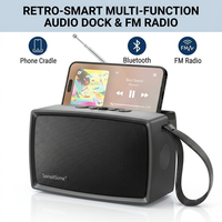 LN-5016MINISUN Enceinte Solaire Rétro TV 25W avec Basses Puissantes, Double Antenne, Radio FM, Boîte Sonore Portable – Vente en Gros
