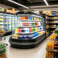 Réfrigérateur commercial double accès sans givre avec éclairage LED, îlot ovale pour supermarché