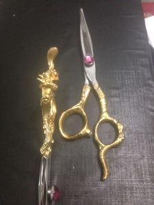 Professional Japanese Hair Cutting Scissors Home Haircutting Barber/Salon Thinning <b>Shears</b> Kit Sliver with Comb and Case - Product Image 4
