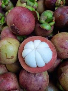 มังคุดเกรดพรีเมียม A สดใหม่ รสหวาน สีม่วง ผลไม้เมืองร้อน สำหรับรับประทานสด ขายปลีกในซูเปอร์มาร์เก็ต ส่งออกเวียดนาม - Product Image 6