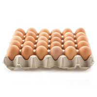 Œufs de poule brune frais de première qualité, origine Royaume-Uni, prix compétitifs, vente en gros, durée de conservation de 2 ans, directement de l'usine