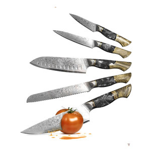 Design Your Product Custom Style Damascus <b>Kitchen</b> <b>Knife</b> Set New Arrival Damascus <b>Kitchen</b> <b>Knife</b> Set - Product Image 1