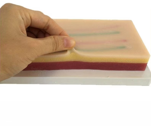 High Quality2024 Hot Sale Medical <b>Nurse</b> Anatomical Model Injection Training Kit with Practice <b>Pad</b> Skin Injection Mode and - Product Image 4