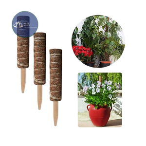 Poteau en fibre de coco de haute qualité – Bâton d'extension végétale naturel et écologique - Product Image 1