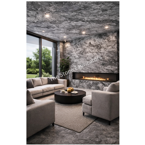 Lámina de Chapa de Piedra Duradera Silver Shine con Superficie Pulida, Antácida, para Exterior, Diseño Minimalista, TSF India - Product Image 5