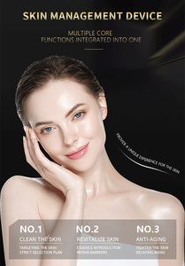 Appareil de beauté Hydra Beauty 14-en-1, appareil de soin de la peau, appareil de mésothérapie, appareil de débrassage en promotion - Product Image 6