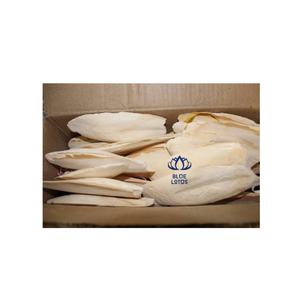 Meilleures ventes : Complément alimentaire durable de haute qualité à base d'os de seiche, minéral de calcium pur à absorption rapide pour oiseaux, export en vrac - Product Image 3