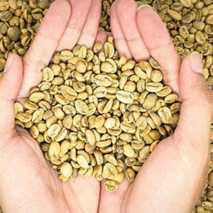Natural unroasted Vietnam <b>Robusta</b> <b>beans</b>, OEM/ODM export grade, bulk <b>coffee</b>, fresh harvest, 12% moisture quality - Product Image 4