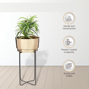 Maceta de hierro Premium Basics con soporte (Juego de 2) para usar en habitaciones, dormitorios y oficinas, para exportación mundial desde India. - Product Image 2