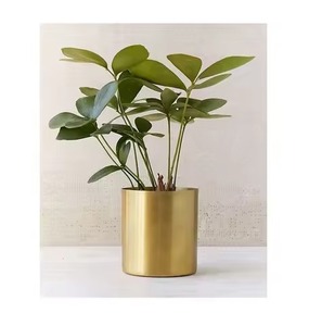 Maceta Metálica Artística para el Hogar, Decorativa para Interiores y Exteriores, Maceta para Plantas y Flores, Decoración del Hogar - Product Image 5