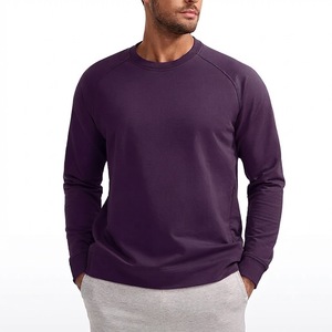Sweat-shirt en tricot à col rond et manches raglan pour homme, couleur unie, coupe classique, en coton, décontracté, pour l'automne - Product Image 4