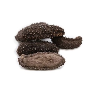 Pepino de mar seco de México, pepino de mar fresco, suministro a granel - Product Image 3