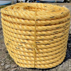 Corde tressée en PP torsadée 4mm-40mm pour l'agriculture, la pêche, l'escalade en plein air - Anti-UV, durable, diamètre personnalisé - Fabriqué en Inde - Product Image 1