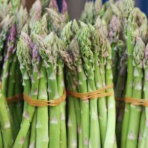 Lances d'asperges vertes fraîches du Vietnam récoltées quotidiennement directement de la ferme - Product Image 1