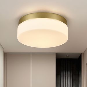 Plafoniera LED Moderna da 24W, 12 Pollici, 1 Pezzo, per Cucina, Armadio e Bagno - Nuovo Stile, Lampada da Incasso - Product Image 1