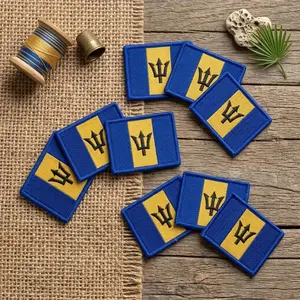 Parches Bordados Personalizados con Logotipo de Águila y Mapa de la Bandera Azul de la Independencia, Parches Termoadhesivos para Ropa - Product Image 6