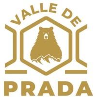 MIEL VALLE DE PRADA logo