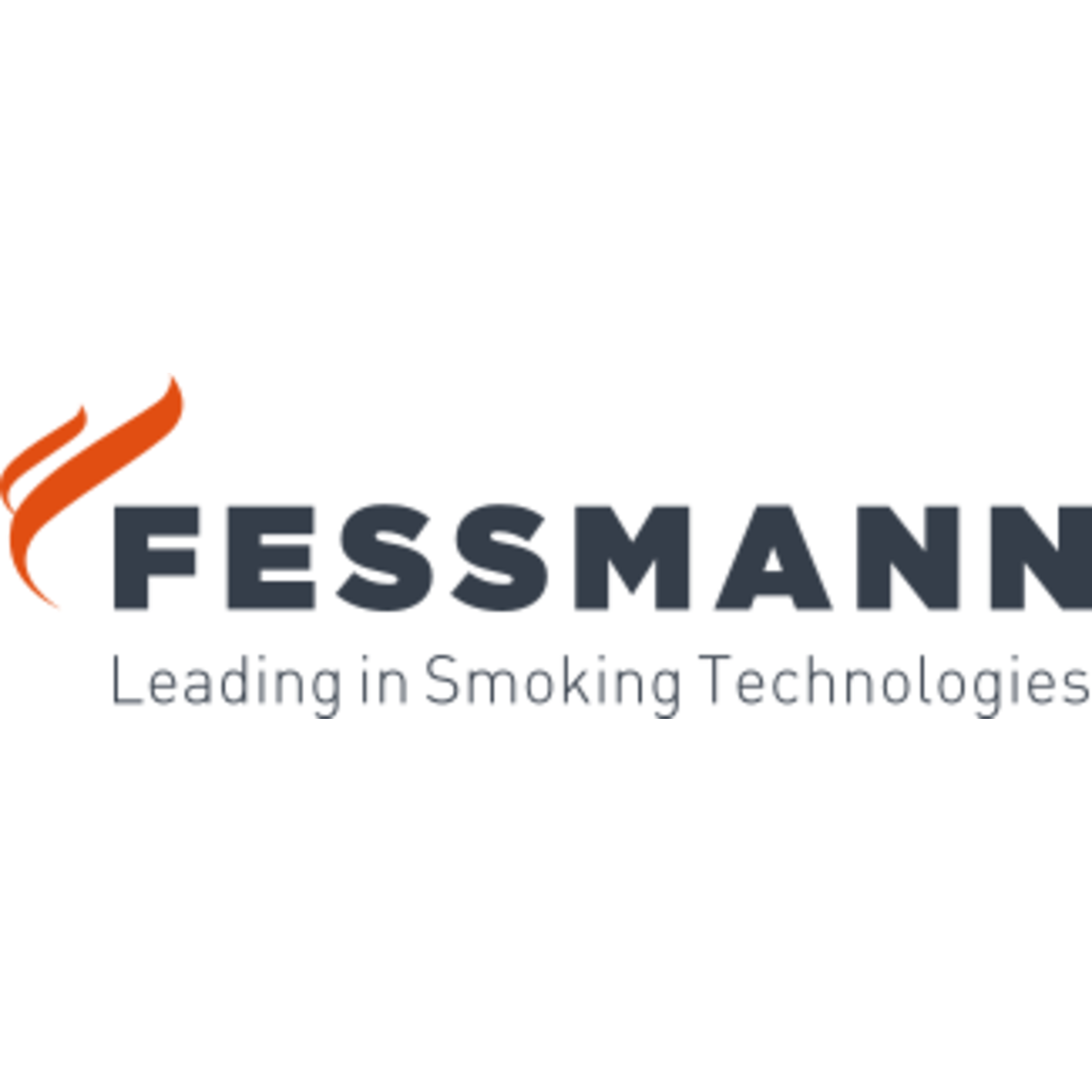 Fessmann GmbH und Co KG logo