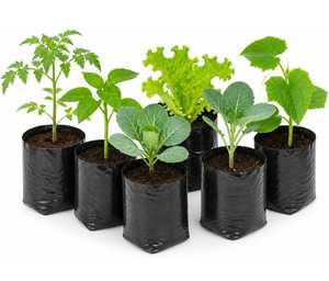 Sac de culture réutilisable en tissu respirant et résistant de 18 L avec poignées pour plantes, légumes, fleurs, jardinage, terrasse et agriculture - Product Image 4