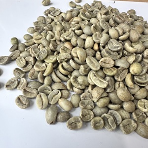 เมล็ดกาแฟเวียดนามอาราบิก้าสีเขียว S13S16 S18 แบบล้างสะอาดทั้งหมด จำหน่ายส่งจำนวนมากสำหรับผู้นำเข้าและผู้ค้าส่งกาแฟยุโรป ANNA - Product Image 5
