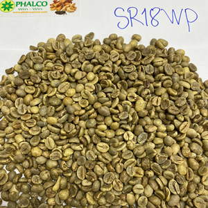 Granos de Café Verde Robusta PHALCO de Alta Calidad, Grado 1, Criba 16/18, Vietnam, Mejor Precio, Listos para Exportar en Bolsas de Yute - Product Image 1