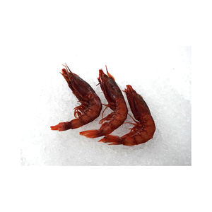 Camarones rojos congelados a precio económico, selección de camarones de primera calidad, ofrecidos para venta al por mayor y a granel. - Product Image 6