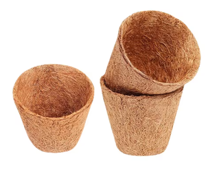 Pot de culture écologique en coque de noix de coco pour plantes d'intérieur et d'extérieur - Product Image 6