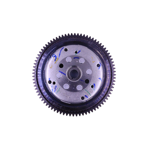 Nuevo Ensamblaje de Rotor Fabricado en India para Vehículos de 3 Ruedas Modelo RE, Exportado a Honduras y Guatemala - Product Image 2