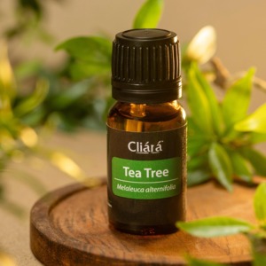 L'huile d'arbre à thé est une huile essentielle naturelle extraite des feuilles de la plante indigène australienne Melaleuca alternifolia. - Product Image 6