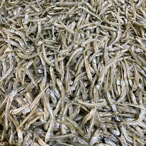 VIETNAMESE SUPPLIER SEAFOOD | DRIED ANCHOVY FISH UNDER SUN SOLAR BEST QUALITY