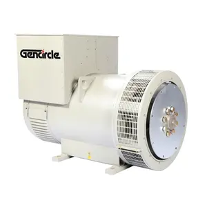 Cepillo alternador sin escobillas de doble rodamiento, 10KW, 15KW, 20KW, 25KW, 30KW, 40KW, 50KW, precio