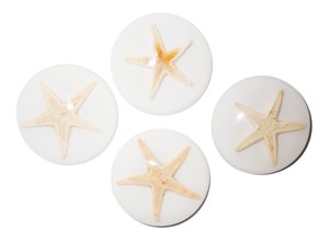 ปลาดาวแท้ พลาสติกคาโบชองทรงกลม 35x35 มม. สีขาว ฐานแบน สำหรับงานฝีมือและทำเครื่องประดับ - Product Image 5