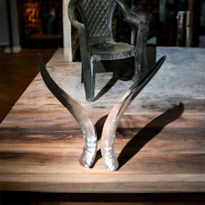 Paire de cornes sculptées décoratives en corne de vache naturelle de 25 à 30 pouces pour la décoration de la maison, cadeaux et artisanat, non polies - Product Image 1