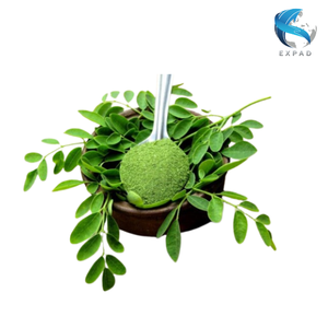 Poudre de feuilles de Moringa déshydratées à prix avantageux, matière première en vrac du Vietnam, emballage en sac refermable - Product Image 6