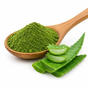 Proveedor de Extracto de Hoja de Aloe Vera en Polvo de Alta Pureza, Extracto Herbal para Nutracéuticos y Cuidado Personal, Fabricante OEM - Product Image 6