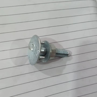 Tornillo de Cabeza Abombada / Tornillo de Cabeza Abombada Allen / Tornillo de Cabeza Abombada con Rosca Interna