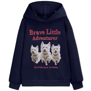 Hoodie kinds 100% Knitted Terry <b>fabrics</b> casual <b>for</b> winter season pull over or front zipper multi color supplier from Bangladesh - Product Image 1