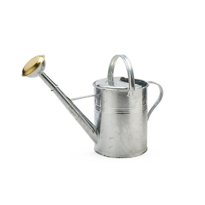 Arrosoir en métal galvanisé gris, arrosoir décoratif en fonte pour jardin, pot de fleurs pour décoration intérieure et extérieure - Product Image 4