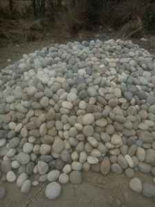 MMArt MMA-NMCP Fournisseur Indien en Gros de Mosaïques de Pierres Naturelles Mélangées, Garantie Plus de 5 Ans, pour Pavage Traditionnel de Jardins et Parcs - Product Image 4