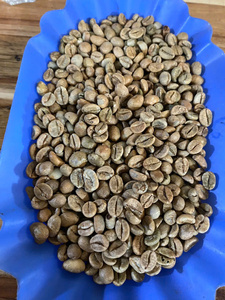 กาแฟโรบัสต้าดิบ เวียดนาม DHPONE ออร์แกนิค เกรด AA สีธรรมชาติ รสชาติกลาง 100% บริสุทธิ์ ปราศจากสารก่อภูมิแพ้ บรรจุภัณฑ์แบบถุง ทั้งเมล็ด - Product Image 6