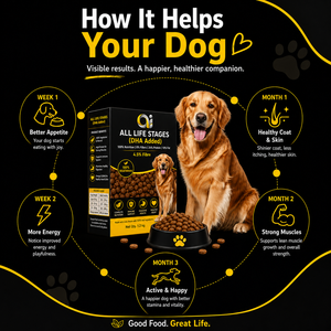 Alimento Seco Completo Premium para Mascotas, Perros y Gatos, Todas las Etapas de Vida, Receta Natural, OEM, ODM, Suministro a Granel, Fabricante de Marca Privada - Product Image 4