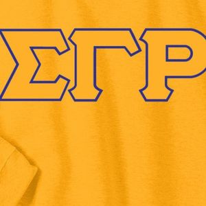 Sudadera con letras griegas Sigma Gamma Rho, jersey de cuello redondo con 3 letras, forro polar personalizado para hermandades, top informal unisex de moda urbana - Product Image 6