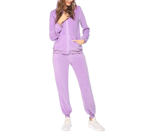 Custom Logo Regular Fit Winter <b>Women's</b> Casual Solid Color Zip Hooded 100% Cotton <b>Tracksuit</b> Set Long Sleeve Jogger 2-Piece Outfit - Product Image 1