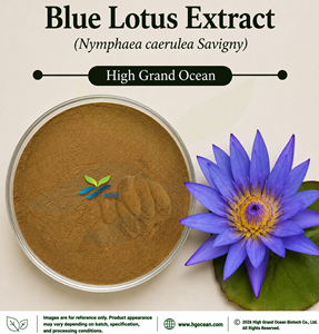 Suministro Directo de Fábrica HGO, Extracto de Loto Azul (Nymphaea caerulea Savigny) de Grado Alimenticio, Extracto en Proporciones 4:1 5:1 10:1 20:1 100:1 200:1 - Product Image 1