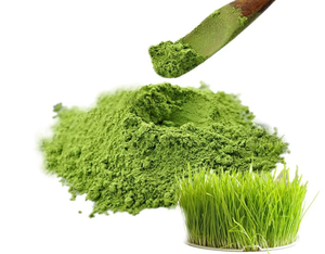Poudre d'herbe de blé verte, extrait végétal de qualité alimentaire, poudre de feuilles pour jus, salades et nutrition quotidienne - Product Image 5