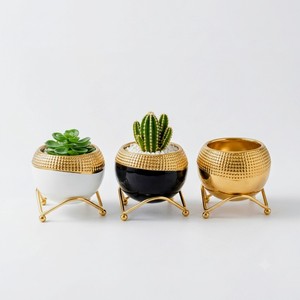 Modern Gold Plated Iron Rust Resistant Powder Coated Flower <b>Pots</b> with Stand Circular Design for Garden <b>Plants</b> Desktop <b>Decor</b> - Product Image 6